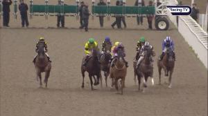 Video preview image for Chelmsford City 19:10 - Bet Totetrifecta At totesport.com Handicap (2)