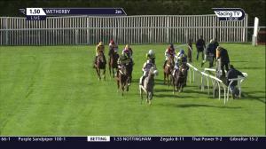 Video preview image for Wetherby 13:50 - Quilter Cheviot Juvenile Hurdle (4) (Div 1)