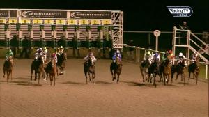 Video preview image for Chelmsford City 19:30 - Bet In Play At totesport.com Novice Stakes (5)