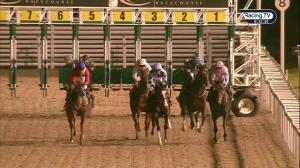 Video preview image for Chelmsford City 20:30 - Christmas Parties Here Handicap (6)