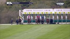 Video preview image for Newmarket 15:40 - Matchbook EBF Future Stayers Nursery Handicap (Sire and Dam Restricted) (2)
