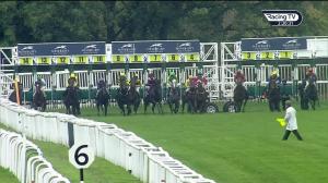 Video preview image for Newbury 14:15 - Join Hot To Trot For 2020 Novice Stakes (4) (Div 2)