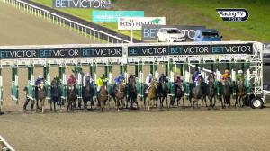 Video preview image for Dundalk 19:45 - Paddy Power Betting Shops Maiden