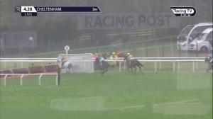 Video preview image for Cheltenham 16:20 - Randox Health Novices' Hurdle (2)