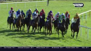 Video preview image for Wexford 12:50 - Casey Concrete Blocks Maiden Hurdle 