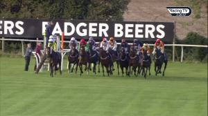 Video preview image for Wincanton 15:20 - Rickety Bridge Wine Combat Stress Centenary Juvenile Hurdle (4)