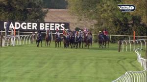 Video preview image for Wincanton 15:55 - Ascot Insurance Group Combat Stress Centenary Novices' Hurdle (4)