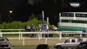 Video preview image for Dundalk 17:30 - Dundalk Stadium Claiming