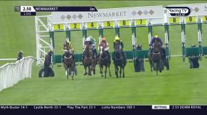 Video preview image for Newmarket 14:50 - Heath Court Hotel Christmas Handicap (3)