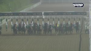 Video preview image for Dundalk 20:15 - Dundalk Stadium - Light Up Your Night Handicap 