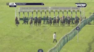 Video preview image for Newmarket 14:05 - Heath Court Hotel Horris Hill Stakes (Group 3) (1)
