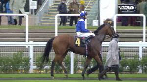 Video preview image for Ascot 15:20 - Sodexo Gold Cup Handicap Chase (Grade 3) (1)