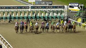 Video preview image for Dundalk 18:00 - irishinjuredjockeys.com Handicap (Div 2)