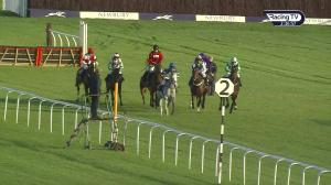 Video preview image for Newbury 14:35 - Csp Mares' Novices' Hurdle (2)