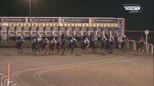 Video preview image for Chelmsford City 17:55 - Extra Places At totesport.com Fillies' Novice Stakes (4)