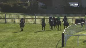 Video preview image for Kelso 13:20 - Graeme Todd and Friends Handicap Hurdle (Qualifier) (3)