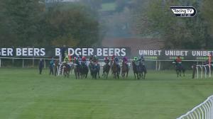 Video preview image for Wincanton 16:10 - Jaytrack Employee Day Intermediate Open National Hunt Flat (5)