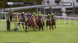 Video preview image for Kempton Park 12:20 - Bet At racingtv.com Novices' Hurdle (4)
