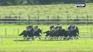 Video preview image for Fairyhouse 12:25 - Winter Festival November 30th & December 1st 3-y-o Maiden Hurdle