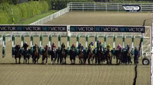 Video preview image for Dundalk 20:45 - Crowne Plaza Hotel Race & Stay Handicap