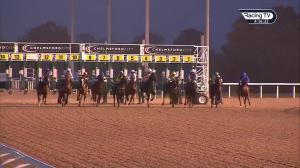 Video preview image for Chelmsford City 16:15 - Bet Toteplacepot At totesport.com Novice Stakes (5)