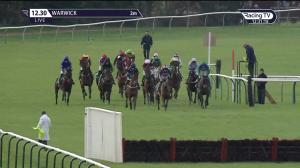 Video preview image for Warwick 12:30 - Visit racingtv.com 'National Hunt' Novices' Hurdle (4)