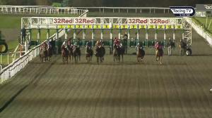 Video preview image for Kempton Park 17:10 - 32Red Casino Fillies' Novice Auction Stakes (5)