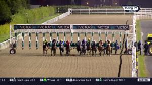 Video preview image for Dundalk 17:25 - Crowne Plaza Hotel Race & Stay Maiden 