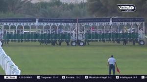 Video preview image for Ascot 13:30 - Zeelo 'National Hunt' Maiden Hurdle (3)