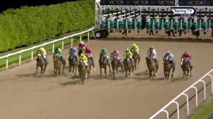 Video preview image for Dundalk 17:15 - Christmas Party Nights At Dundalk Stadium Handicap 