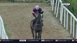 Video preview image for Ascot 14:05 - Christy 1965 Chase (Grade 2) (1)