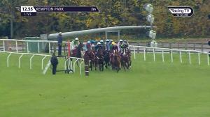 Video preview image for Kempton Park 12:55 - EBF Stallions 'National Hunt' Novices' Hurdle (Qualifier) (4)