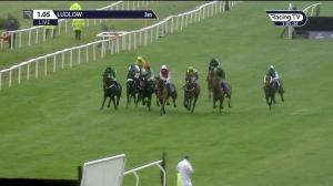 Video preview image for Ludlow 13:05 - Elite Racing Club Novices' Handicap Chase (4)