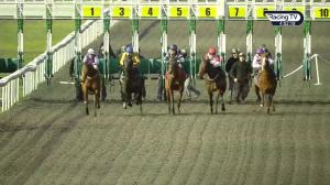 Video preview image for Kempton Park 16:00 - Bet At racingtv.com Novice Auction Stakes (5)
