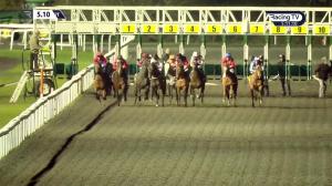 Video preview image for Kempton Park 17:10 - racingtv.com Maiden Stakes (5) (Div 2)