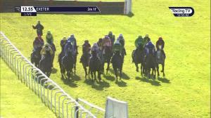 Video preview image for Exeter 12:55 - British Stallion Studs EBF 'National Hunt' Novices' Hurdle (Qualifier) (4)