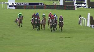 Video preview image for Sandown Park 13:55 - Simon Jennings Memorial Novices' Limited Handicap Chase (3)