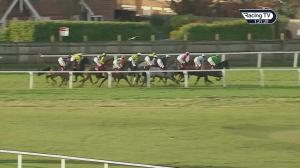 Video preview image for Sandown Park 13:20 - Pertemps Network Handicap Hurdle (Qualifier) (2)