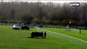 Video preview image for Huntingdon 13:30 - Fitzdares Racing Welfare Handicap Hurdle (3)
