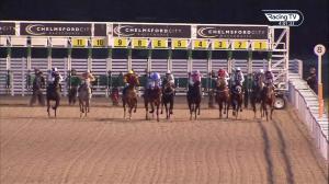 Video preview image for Chelmsford City 15:55 - Bet Toteexacta At totesport.com Median Auction Maiden Stakes (4)