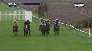 Video preview image for Warwick 15:00 - Brand Ambassadors Novices' Handicap Chase (4)