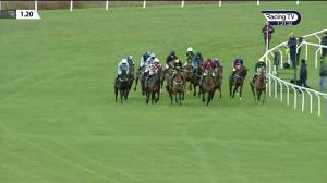 Video preview image for Cheltenham 13:20 - Catesby Handicap Hurdle (3)