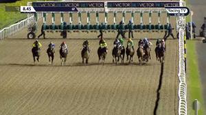 Video preview image for Dundalk 20:45 - Crowne Plaza Race & Stay Handicap