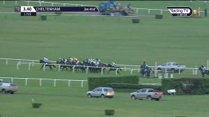 Video preview image for Cheltenham 15:40 - Park Mares' Handicap Hurdle (2)