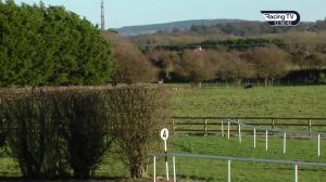 Video preview image for Naas 12:50 - Clinton Higgins Chartered Accountants Mares Maiden Hurdle