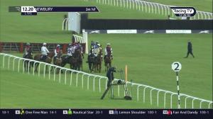 Video preview image for Newbury 12:20 - Prodec Networks Juvenile Hurdle (4)