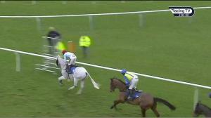 Video preview image for Ludlow 14:05 - Tanners Cava Handicap Chase (2)
