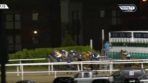 Video preview image for Dundalk 19:15 - Crowne Plaza Race & Stay Maiden