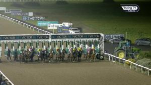 Video preview image for Dundalk 19:45 - Dundalk Stadium - Light Up Your Night Handicap 