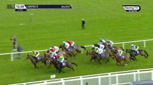 Video preview image for Limerick 12:50 - Goggin Buckley Veterans Handicap Chase